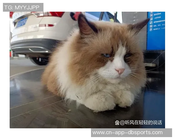 老猫回忆被火箭交易的震惊感受如同遭遇一记耳光 老猫回忆被火箭交易的震惊感受如同遭遇一记耳光